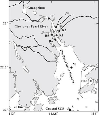 Evaluating Production of Cyclopentyl Tetraethers by Marine Group II Euryarchaeota in the Pearl River Estuary and Coastal South China Sea: Potential Impact on the TEX86 Paleothermometer